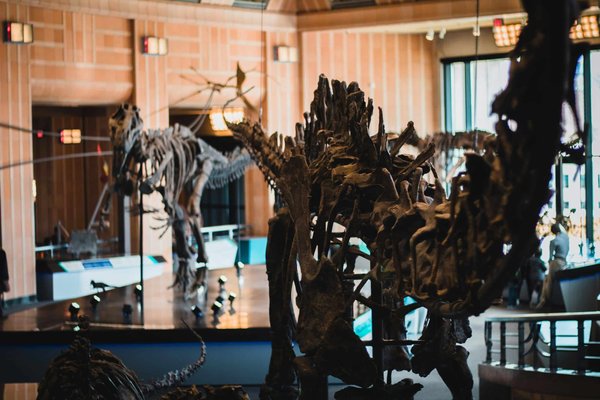 Quelles méthodes les musées d'histoire naturelle peuvent-ils utiliser pour sensibiliser à la conservation des écosystèmes marins ?